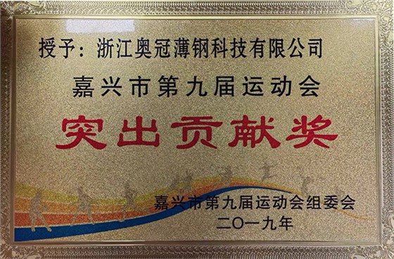 Outstanding Contribution Award