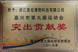 Outstanding Contribution Award