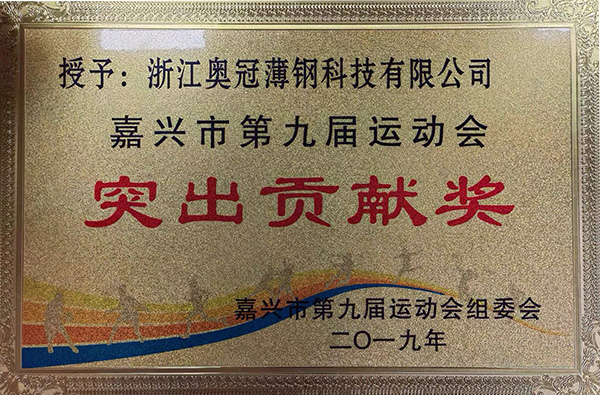 Outstanding Contribution Award